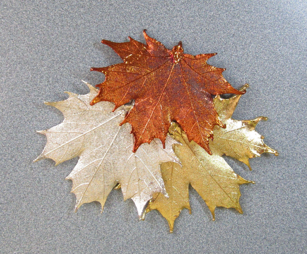Earrings, B.C Aspen Leaf-Frosted Leaves