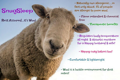SnugSleep- Wool Duvet, Regular Weight