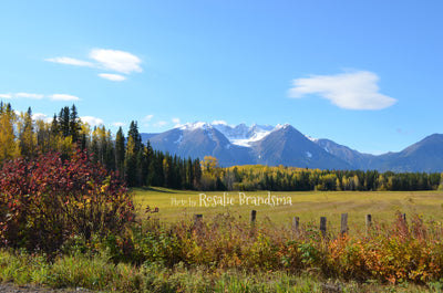 Hudson Bay Mountain- Canvas Picture
