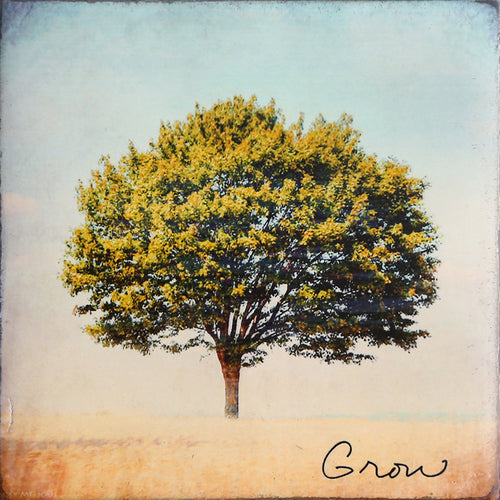 Cedar Mtn- Grow Block
