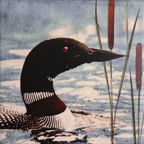 Cedar Mtn- Loon Block