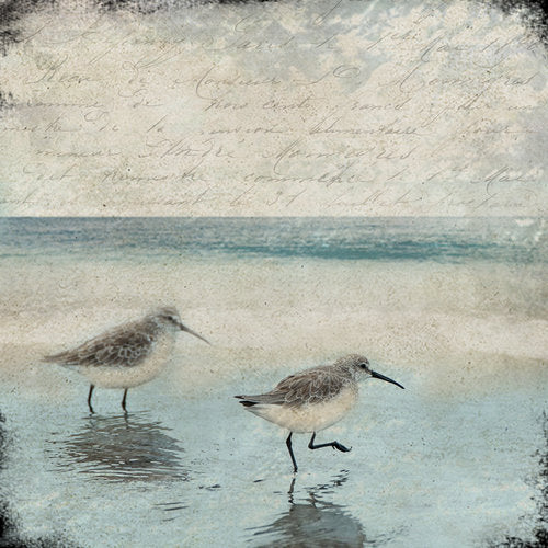 Cedar Mtn- Sandpipers Block