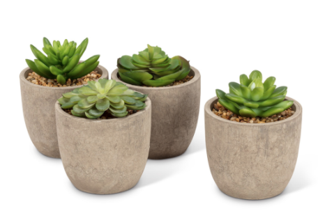 succulent pots large Plant, Large Succulent Pot 4" – Heartstrings Home Decor & Gifts