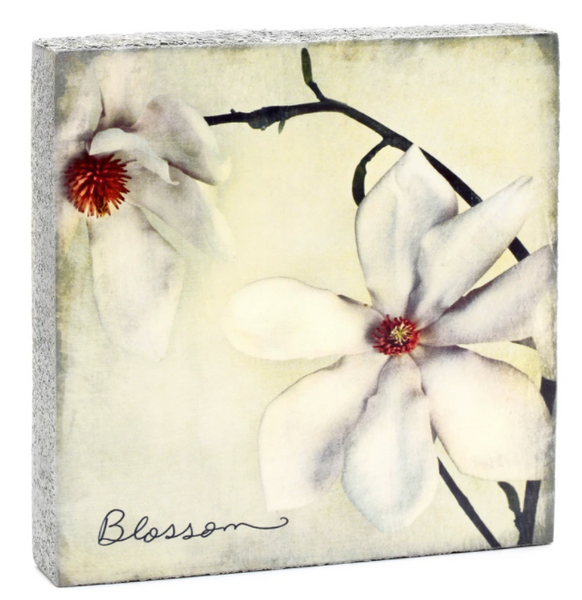 Cedar Mtn- Blossom Block