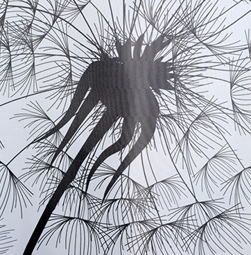 Shower Curtain, Dandelion