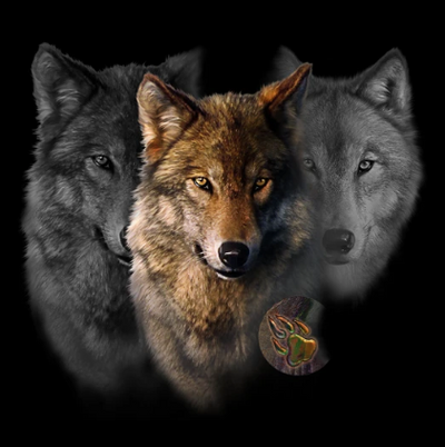 T-Shirt, Wolf Trilogy
