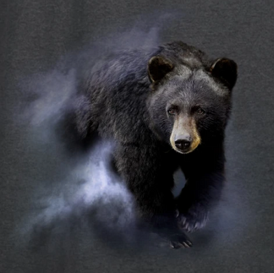 T-Shirt, Black Bear in the Mist