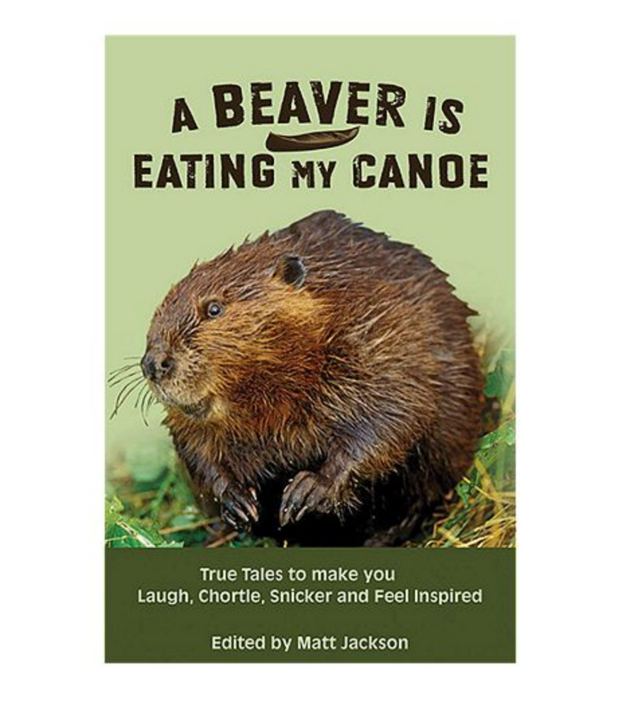 Books, A Beaver is Eating My Canoe-Matt Jackson