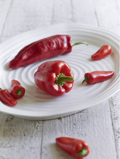 Sophie Conran-Portmeirion-Lg Oval Platter 17"