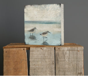 Cedar Mtn- Sandpipers Block