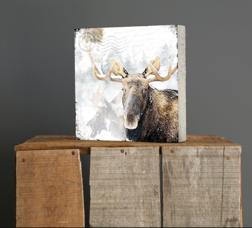 Cedar Mtn- Snowy Moose Block