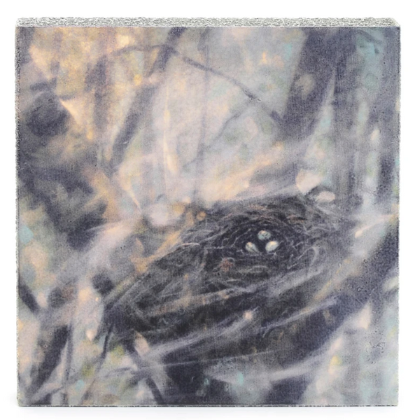 Cedar Mtn- Nest Block