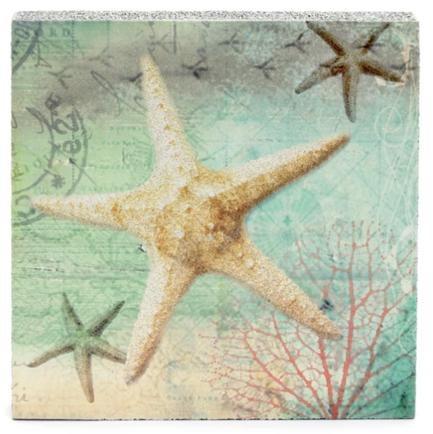 Cedar Mtn- Starfish