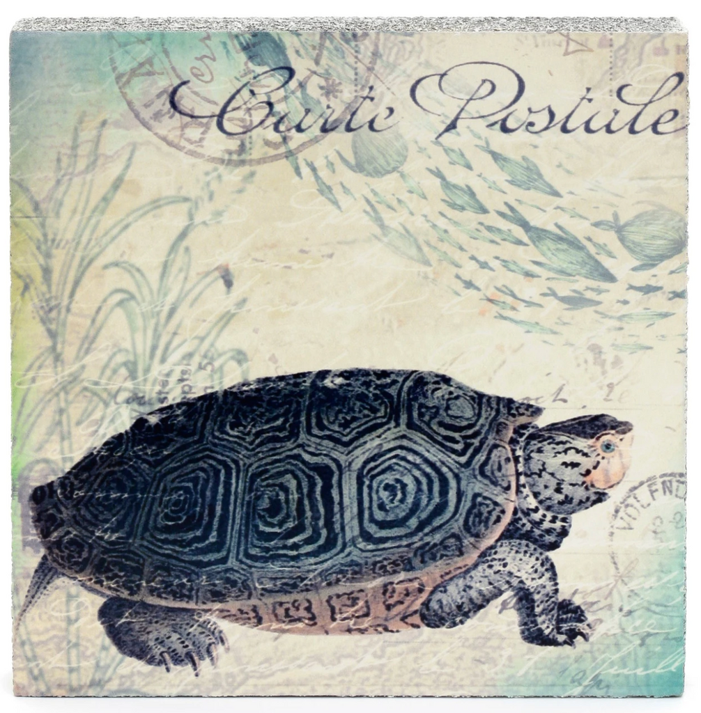 Cedar Mtn- Turtle Block