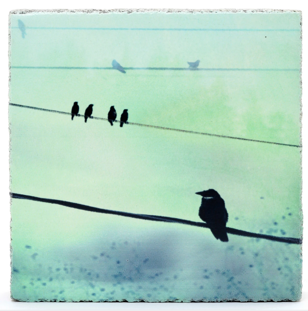 Cedar Mtn- Crows on a Wire Block