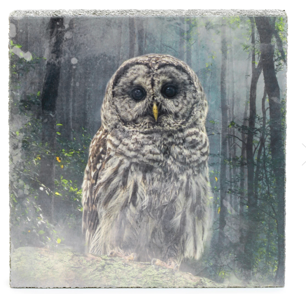 Cedar Mtn- Forest Owl Block