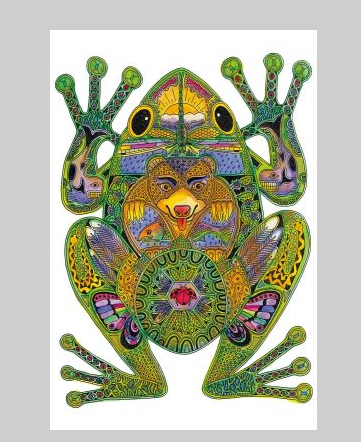 Frog, Framed Wall Decor-Indigenous Collection