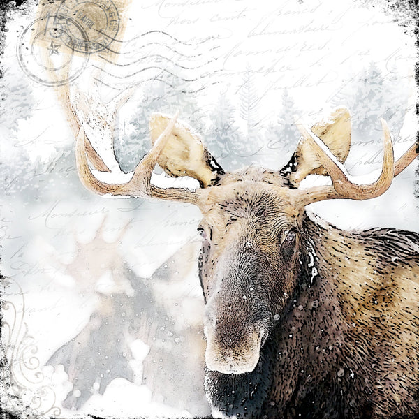 Cedar Mtn- Snowy Moose Block