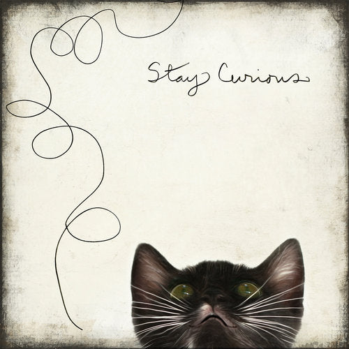 Cedar Mtn- Stay Curious Block