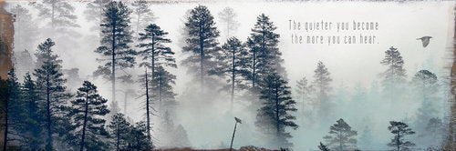Cedar Mtn- Quiet Plaque