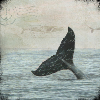 Cedar Mtn- Whale Tale Block