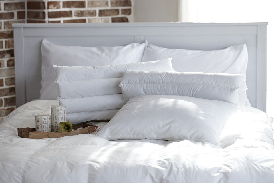 Alamode- Down Alternative Pillow, Ultra Fresh
